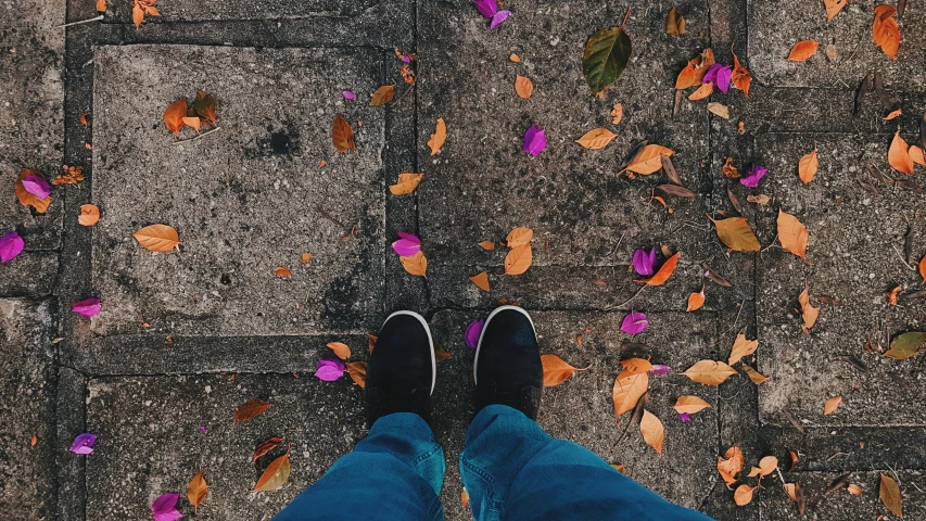 a person standing on a sidewalk surrounded by leaves, happening, background image, black and purple rose petals, blue jeans and grey sneakers, colorful aesthetic