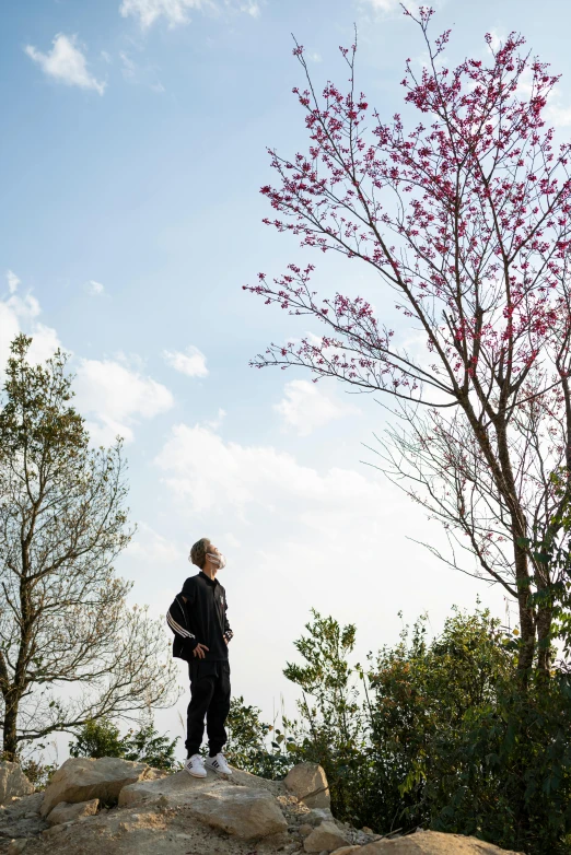 a man standing on top of a rock next to a tree, purple flower trees, guangjian huang, looking off into the distance, julia hetta