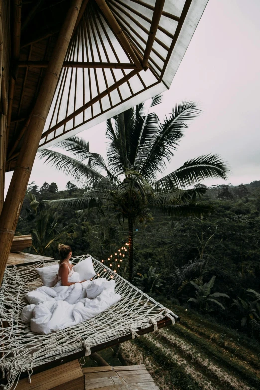 a woman sitting in a hammock on a balcony, by Jessie Algie, unsplash contest winner, sumatraism, cozy treehouse bedroom, lush vista, panoramic shot, coconuts