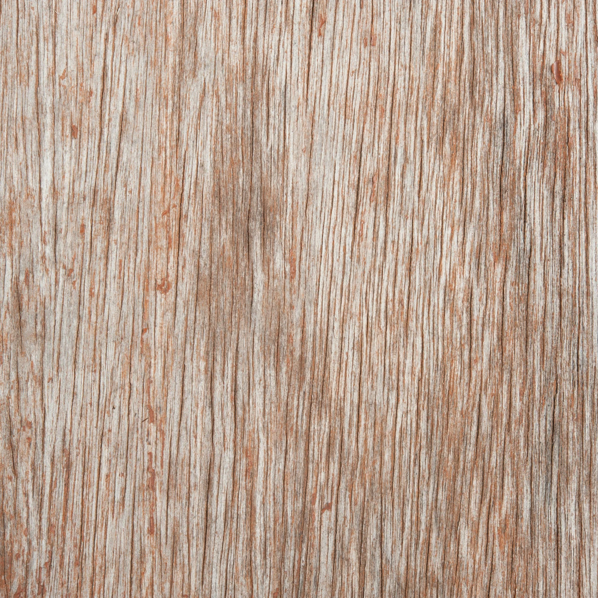 a close up of a wooden surface, by Daniel Gelon, high detail photo, natural background, soft grey and red natural light, detailed product image