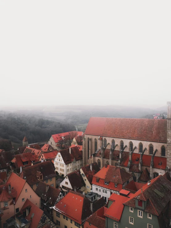 an aerial view of a city on a foggy day, by Sebastian Spreng, pexels contest winner, renaissance, white buildings with red roofs, germany. wide shot, inside an epic gothic castle, a quaint