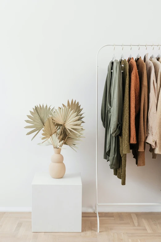 clothes hanging on a rack in a white room, trending on unsplash, green and brown color palette, product display, wear's beige shirt, botanicals