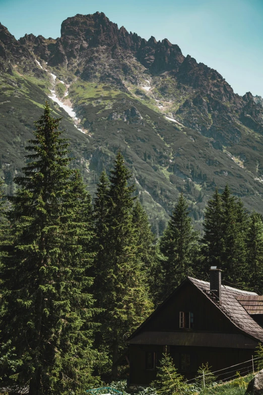 a cabin in the mountains surrounded by trees, a picture, by Jozef Simmler, full frame image, multiple stories, mountainous, alps