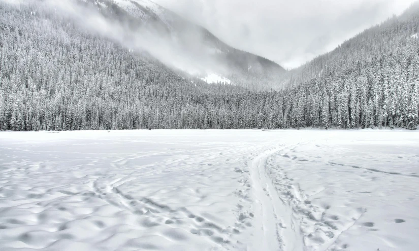 a person riding skis across a snow covered field, inspired by Ansel Adams, pexels contest winner, ominous! landscape of north bend, 8 k, a cozy