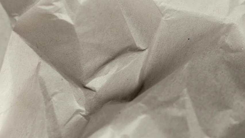 a black and white photo of a piece of paper, pexels, visual art, taupe, tissue paper art, up close shot, delicious