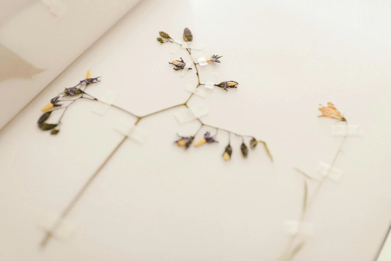 a close up of a book with flowers on it, by Ruth Simpson, trending on unsplash, process art, tiny sticks, fine simple delicate structure, lying scattered across an empty, tiny insects