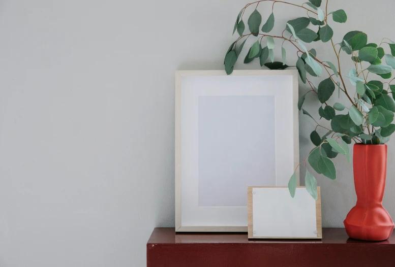 a red vase sitting on top of a table next to a picture frame, pexels contest winner, eucalyptus, background is white and blank, square shapes, portrait of small