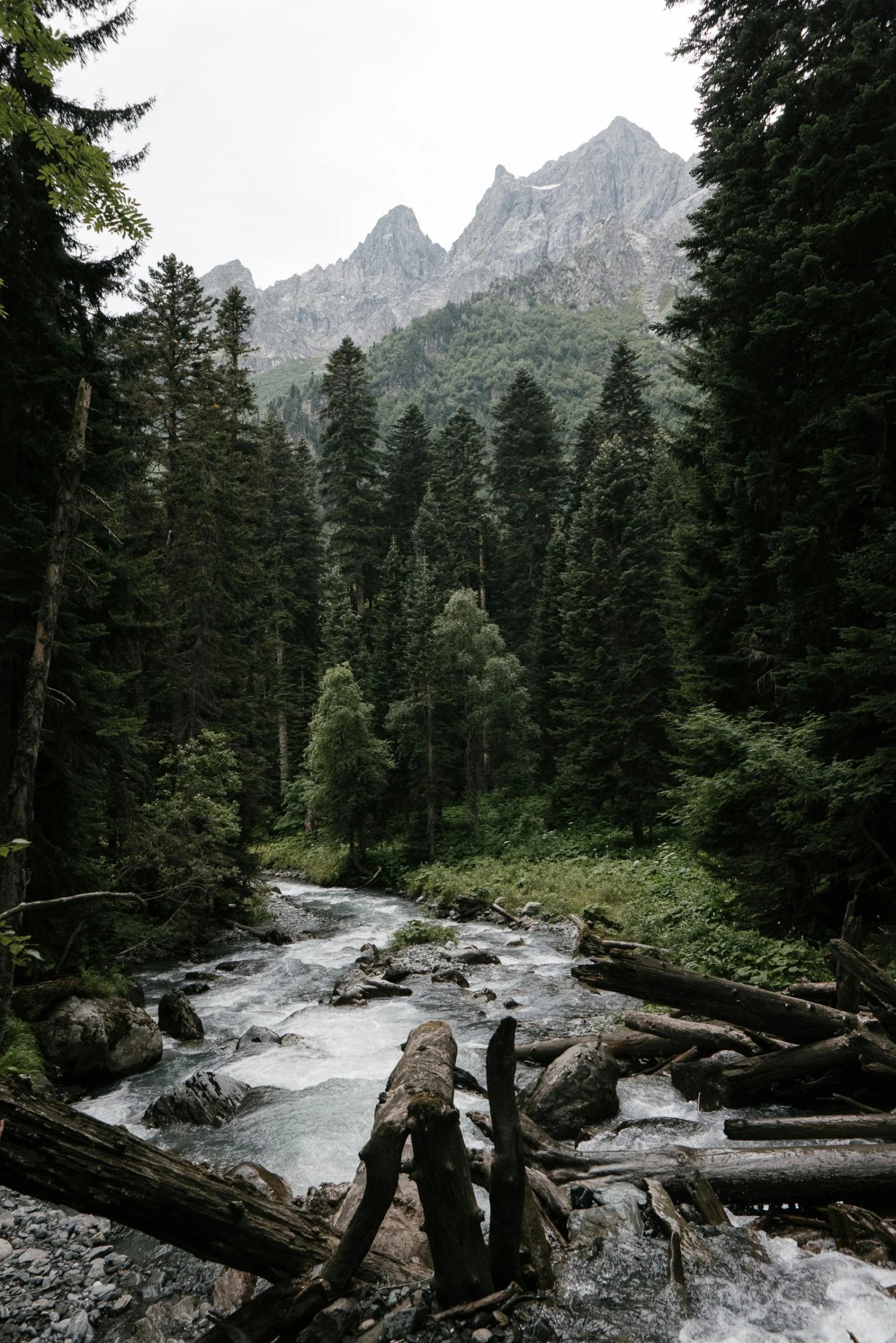 a river running through a lush green forest, a picture, by Tobias Stimmer, unsplash contest winner, hurufiyya, tall mountains, dark pine trees, ((forest)), good clear quality