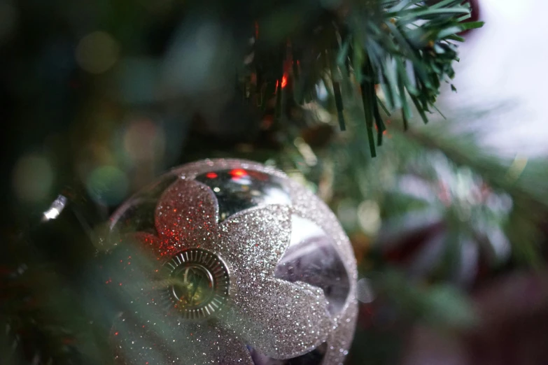 a close up of a christmas ornament on a tree, pexels, grey, thumbnail, shot on sony a 7, flowers around