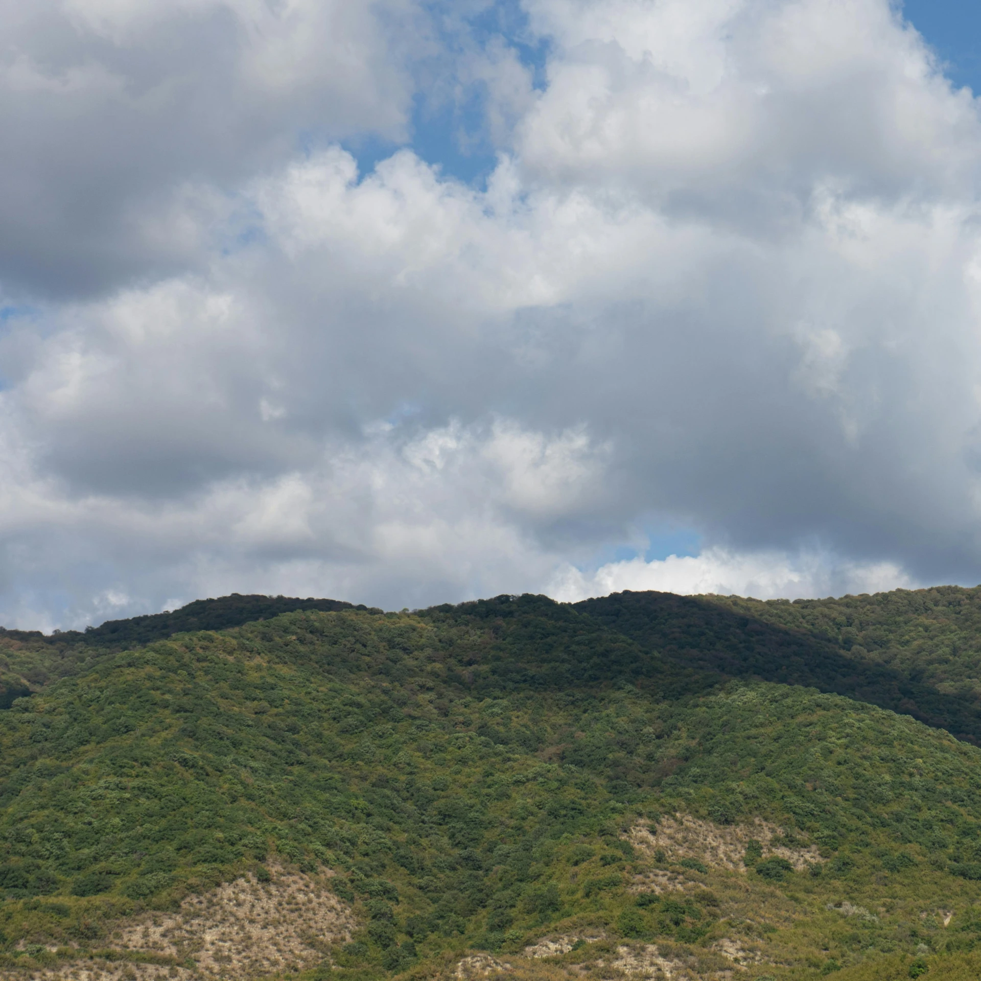 a man flying a kite on top of a lush green hillside, by Francesco Furini, les nabis, big clouds visible, round-cropped, studio ghibili, seen from a distance