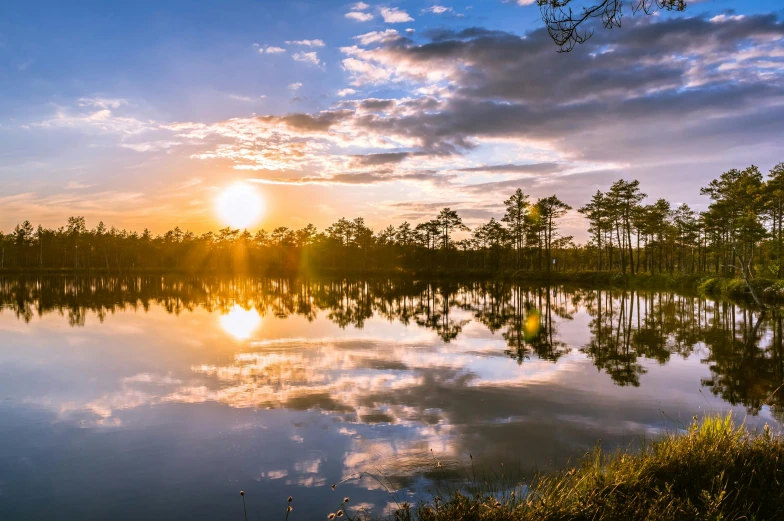 the sun is setting over a body of water, by Jan Tengnagel, pexels contest winner, pine forest, ponds of water, bright sky, panorama