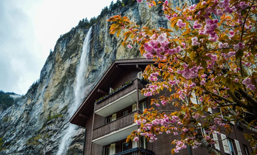 a building with a waterfall in the background, by Julia Pishtar, pexels contest winner, chalet, flowers and trees, suzanne engelberg, steep cliffs