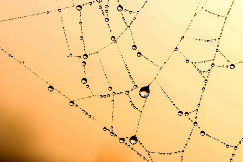 a spider web with water droplets on it, by Matija Jama, pexels, minimalism, strings of pearls, golden hour closeup photo, digitally enhanced, macro photography 8k