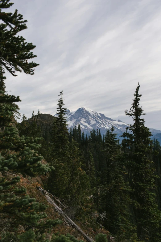 a view of a mountain with pine trees in the foreground, cascadia, epic ultrawide shot, view from the side”