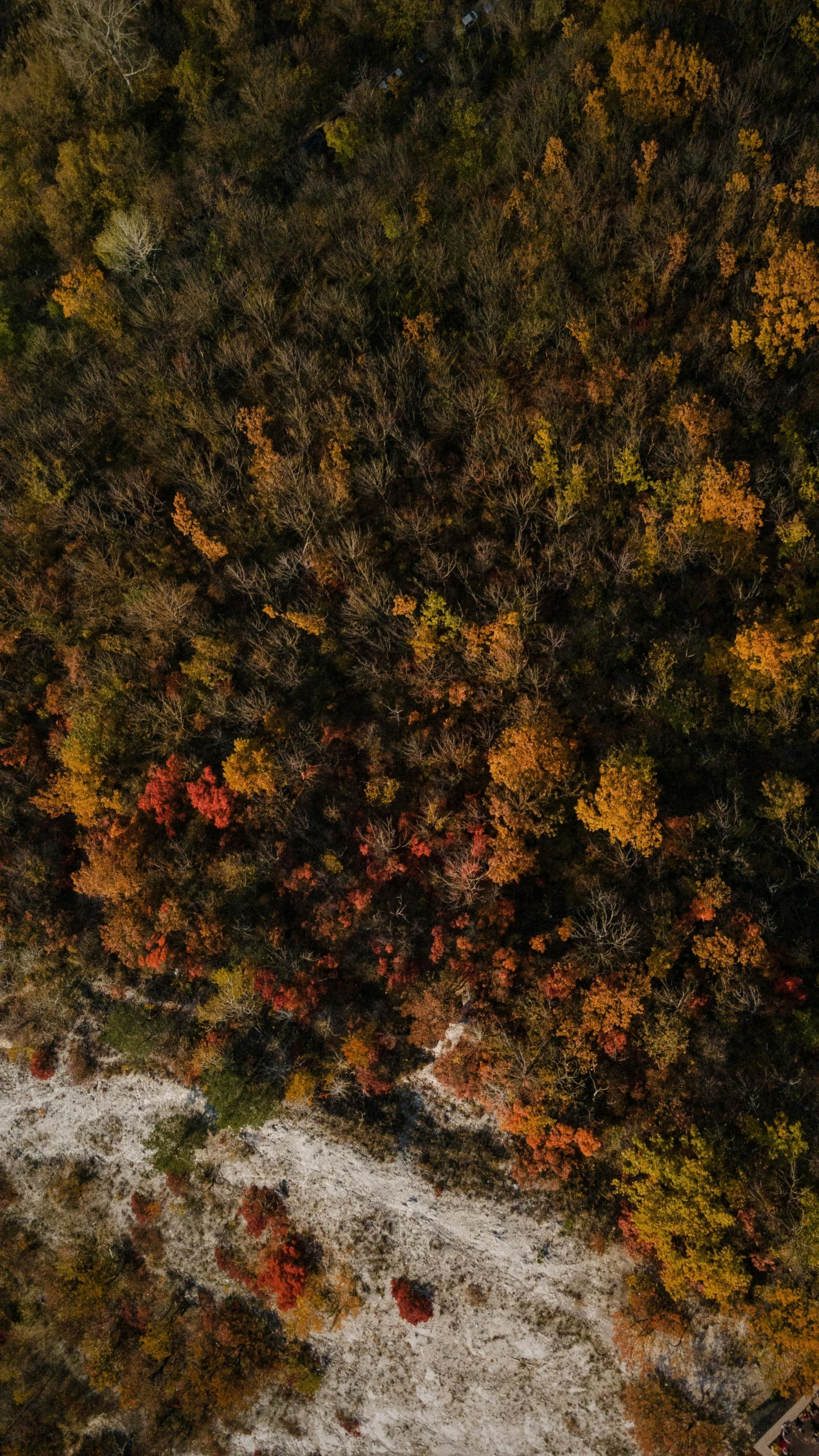 an aerial view of a river surrounded by trees, by Attila Meszlenyi, pexels, color field, yellows and reddish black, drone footage, 15081959 21121991 01012000 4k, multicolored weed leaves