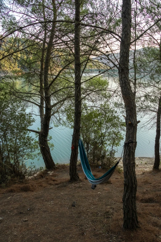 a hammock hanging between two trees near a body of water, les nabis, arrendajo in avila pinewood, mateo dineen, overview, multiple stories