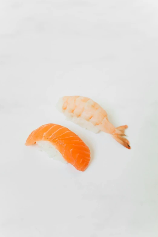 two pieces of sushi sitting next to each other, jen atkin, shrimp, smooth shaded, highly upvoted