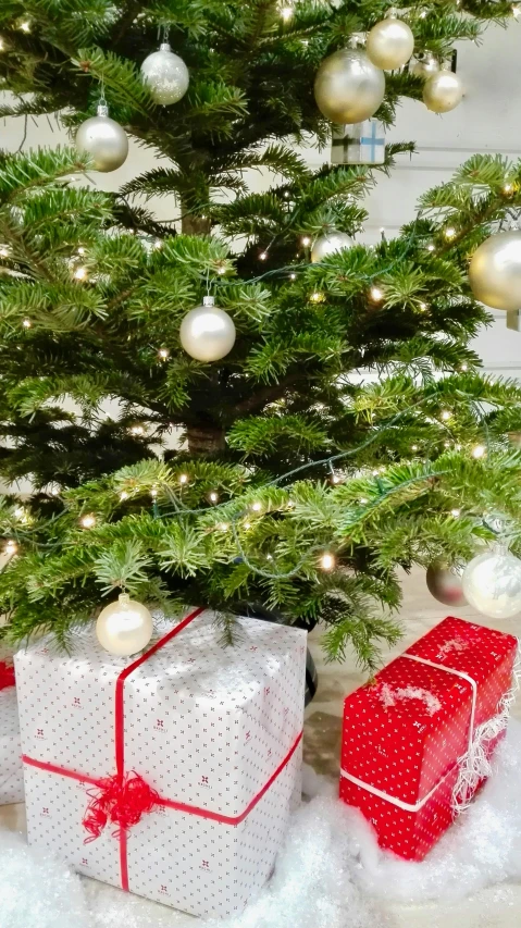 a small christmas tree with presents under it, pexels, incoherents, square, low detail, high quality photo, fir trees