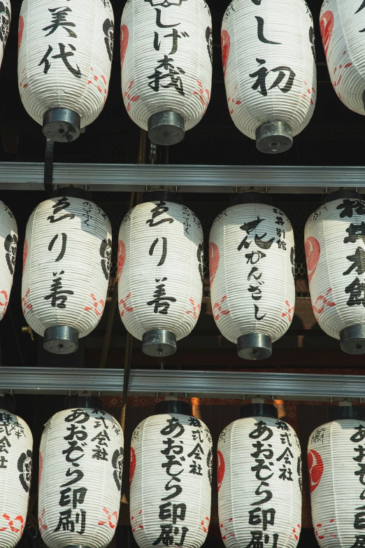 a bunch of paper lanterns with asian writing on them, sōsaku hanga, sake, in a temple, shot with hasselblad, repetition