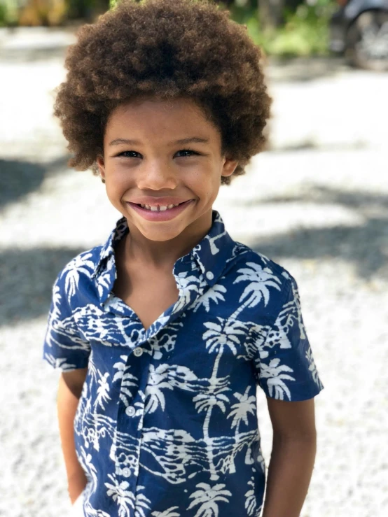 a little boy that is standing in the dirt, a picture, with hawaiian shirt, a palm tree, thumbnail, navy