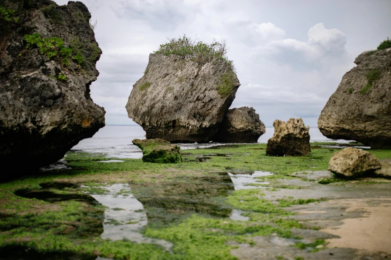 a couple of large rocks sitting on top of a beach, karst pillars forest, conde nast traveler photo, shot on sony a 7, shallow waters