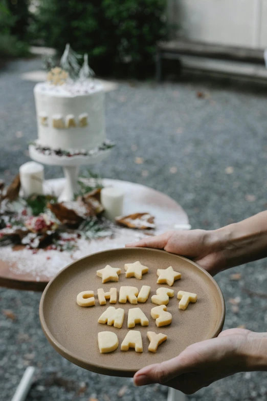 a person holding a plate with cookies on it, christalized, exterior shot, carving, place setting