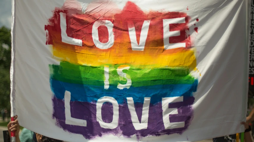 a person holding a sign that says love is love, banner, getty images, a brightly coloured, il