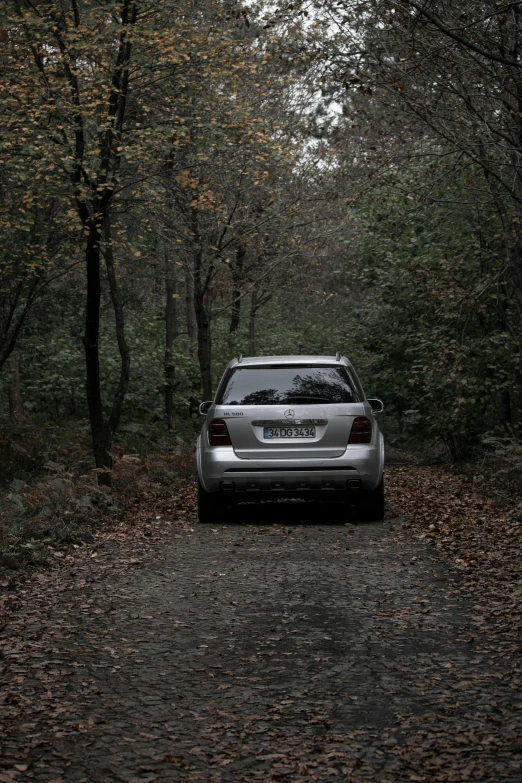 a car parked on a dirt road in the woods, back facing the camera, grey, low - lighting, autumnal