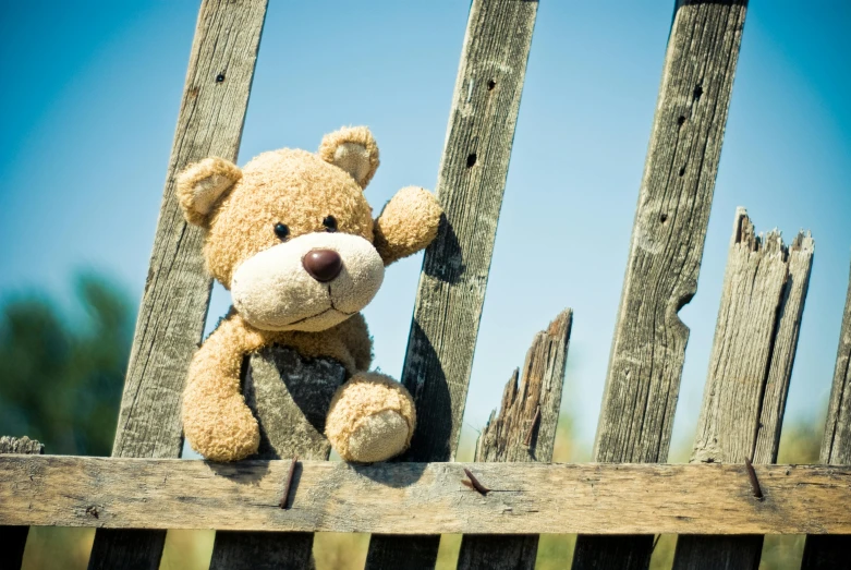 a teddy bear sitting on top of a wooden fence, in the sun