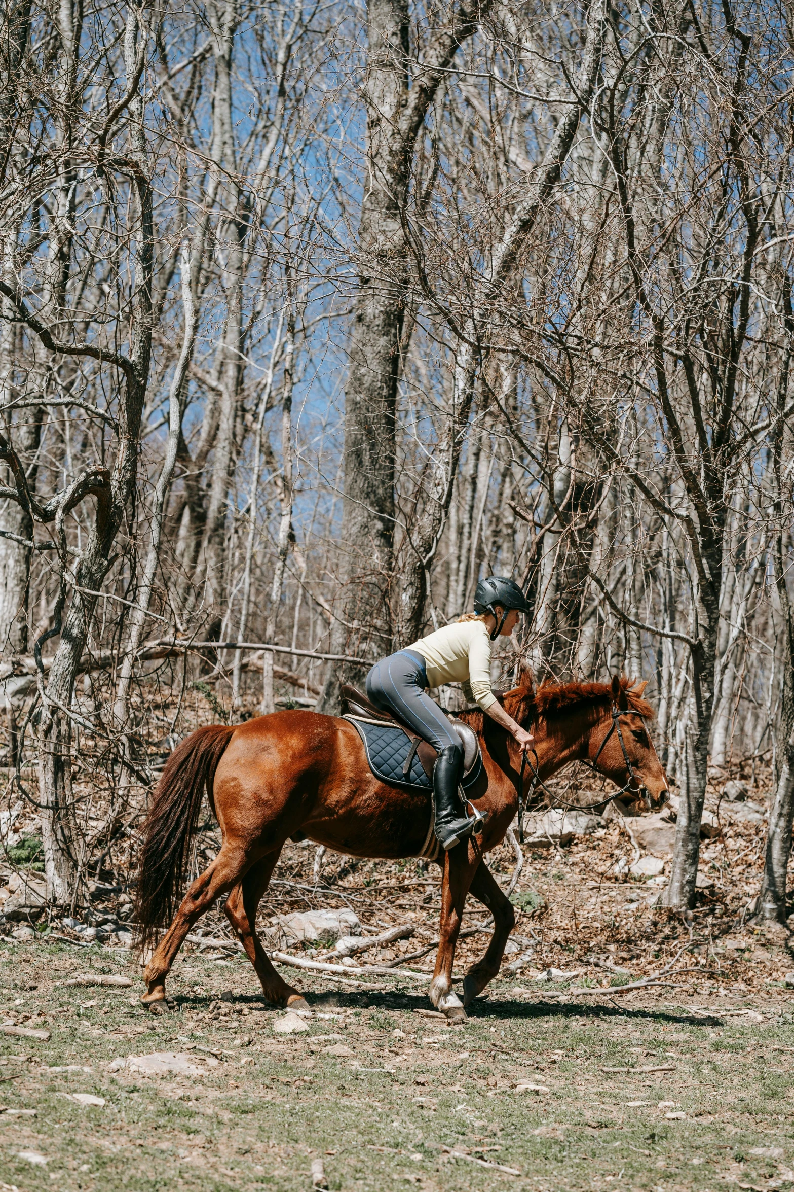 a woman riding on the back of a brown horse, by Morgan Russell, trending on unsplash, wooded environment, panoramic, rhode island, “ iron bark