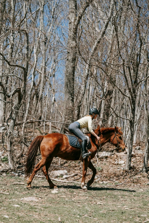 a woman riding on the back of a brown horse, by Morgan Russell, trending on unsplash, wooded environment, panoramic, rhode island, “ iron bark