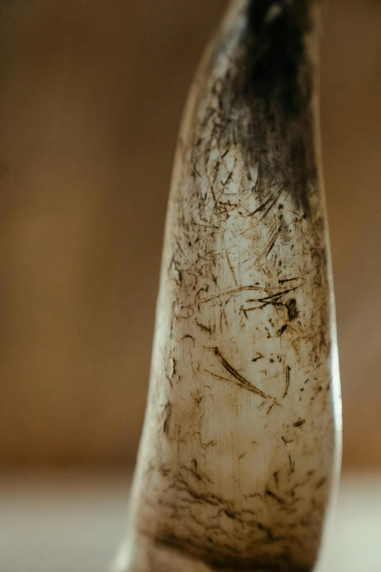 a close up of a banana on a table, a cave painting, inspired by Muirhead Bone, unsplash, translucent material, tall, ivory, tungsten