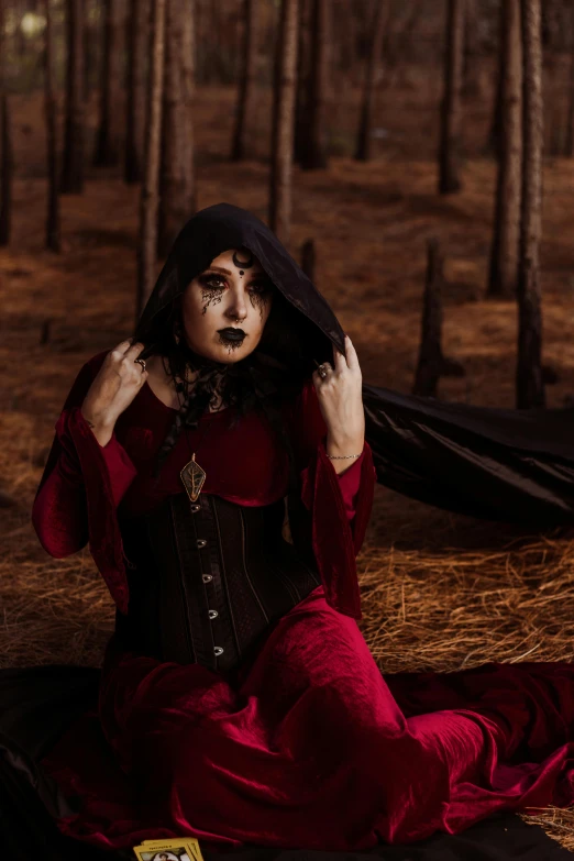 a woman in a red dress sitting in a forest, an album cover, inspired by Samuel Hieronymus Grimm, pexels contest winner, gothic art, with black metal face paint, leather robes, a medieval, drag