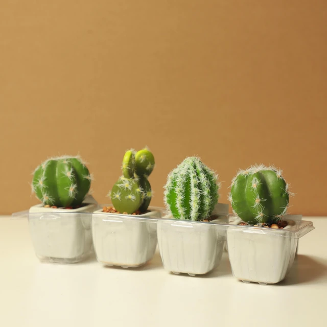 a group of small potted plants sitting on top of a table, product image, robotic cactus design, pale green glow, detailed product image