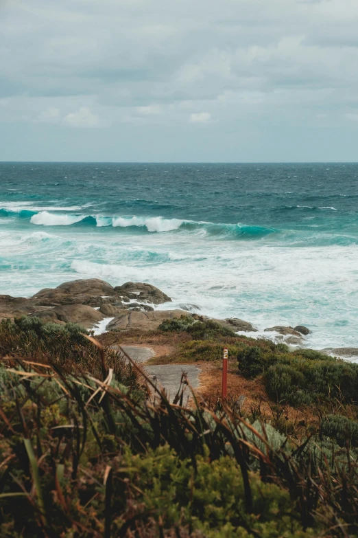 a man standing on top of a cliff next to the ocean, by Jessie Algie, unsplash contest winner, process art, epic coves crashing waves plants, in australia, whales showing from the waves, road to the sea