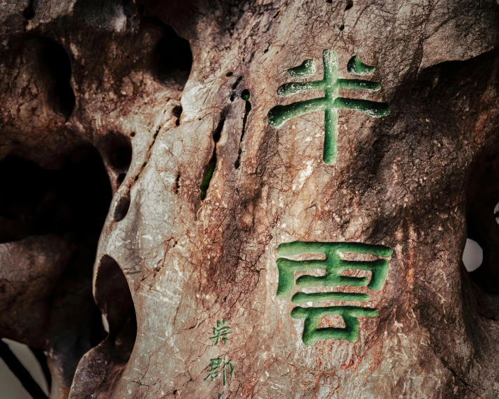 a close up of a rock with chinese writing on it, a cave painting, inspired by Hu Zao, unsplash, symbolism, a green, tooth wu : : quixel megascans, kanji tattoos and decals, brown