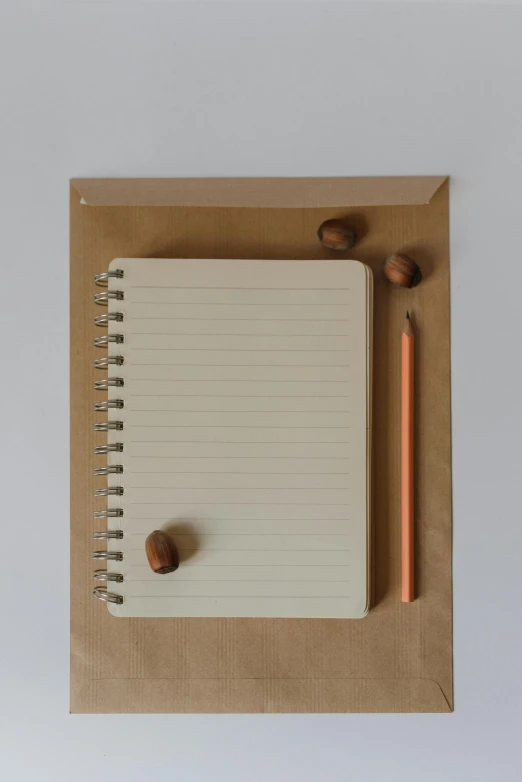 a notepad sitting on top of a piece of paper next to a pencil, acorns, minimalist lines, still in package, opening shot