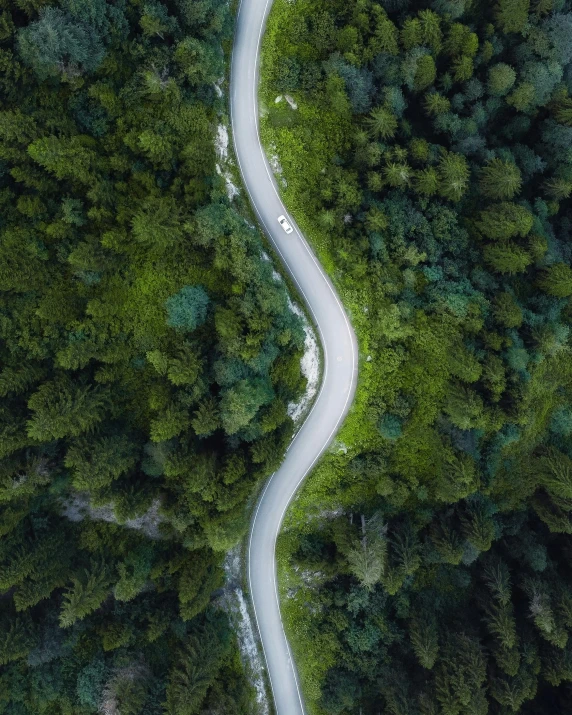 a winding road in the middle of a forest, by Jacob Toorenvliet, pexels contest winner, realism, smiling down from above, thumbnail, multiple stories, hd footage