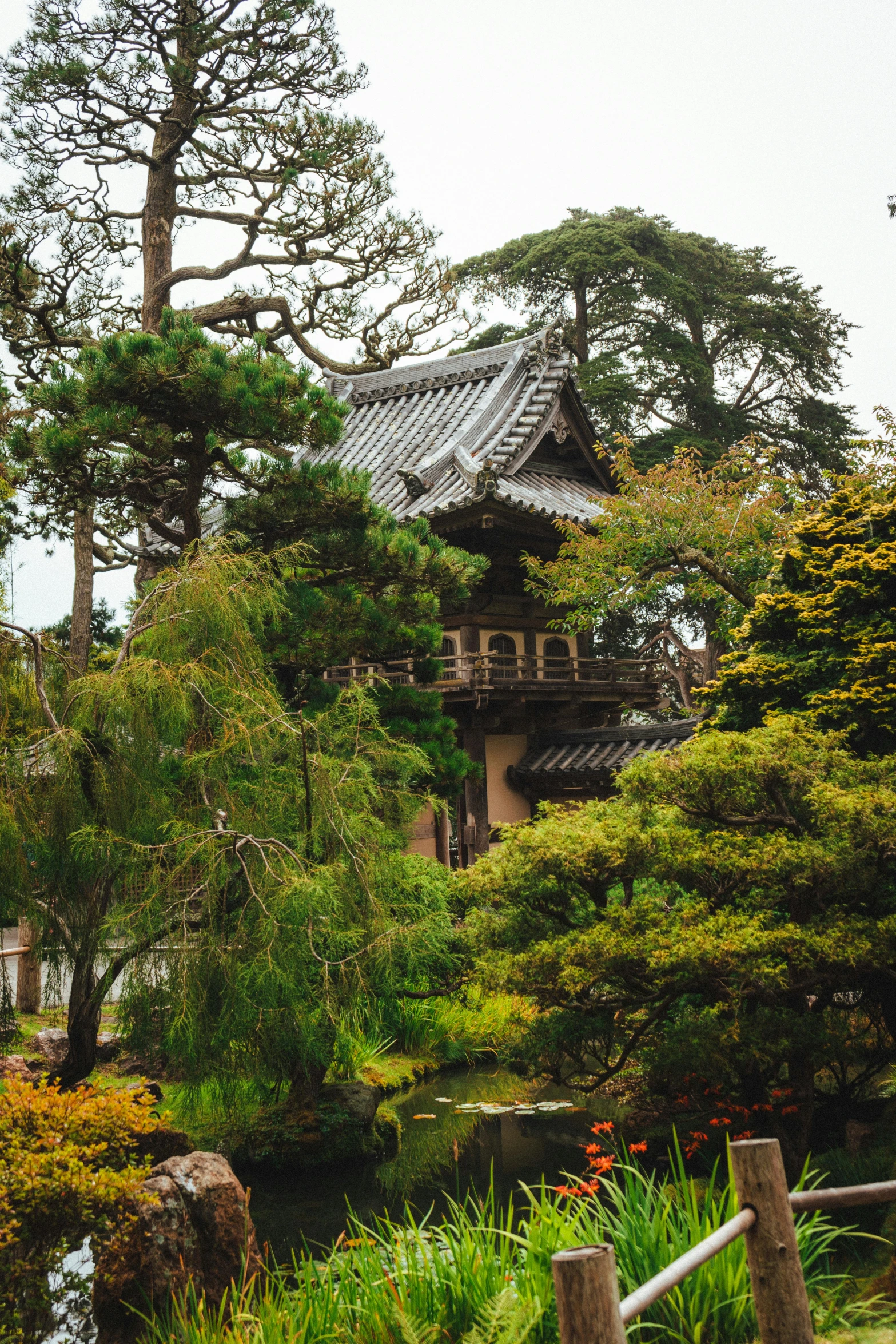 a japanese garden with a pagoda in the background, san francisco, roofed forest, telephoto shot, tall