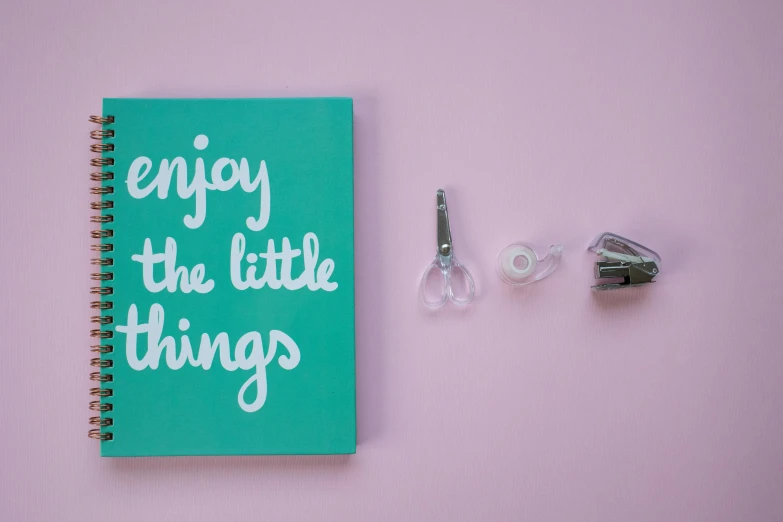 a notebook with the words enjoy the little things written on it, by Julia Pishtar, pexels contest winner, art & language, surgical implements, glossy plastic, wall art, mint