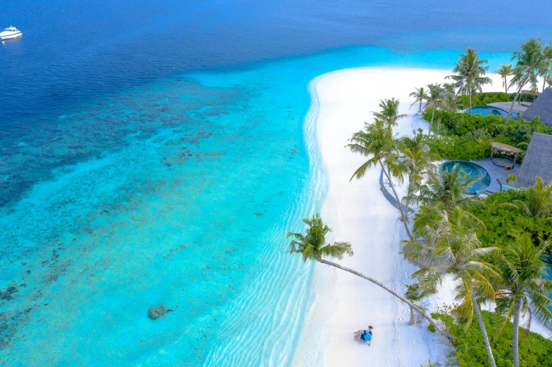 an aerial view of a beach with palm trees, by Julian Allen, pexels contest winner, hurufiyya, luxurious environment, turquoise, thumbnail, thomas kinkad