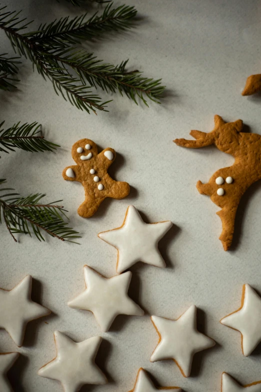 a bunch of cookies that are on a table, inspired by Rudolph F. Ingerle, pexels, folk art, white stars in the background, evergreen branches, thumbnail, caramel