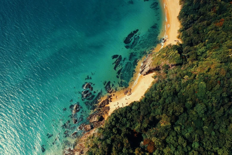 an aerial view of a beach next to the ocean, by Seb McKinnon, pexels contest winner, hurufiyya, teal and orange colours, profile pic, lush surroundings, realistic depth