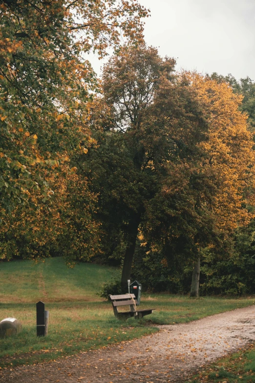 a couple of benches sitting on top of a dirt road, by Emma Andijewska, grassy autumn park outdoor, with a tall tree, muted coloures, gold