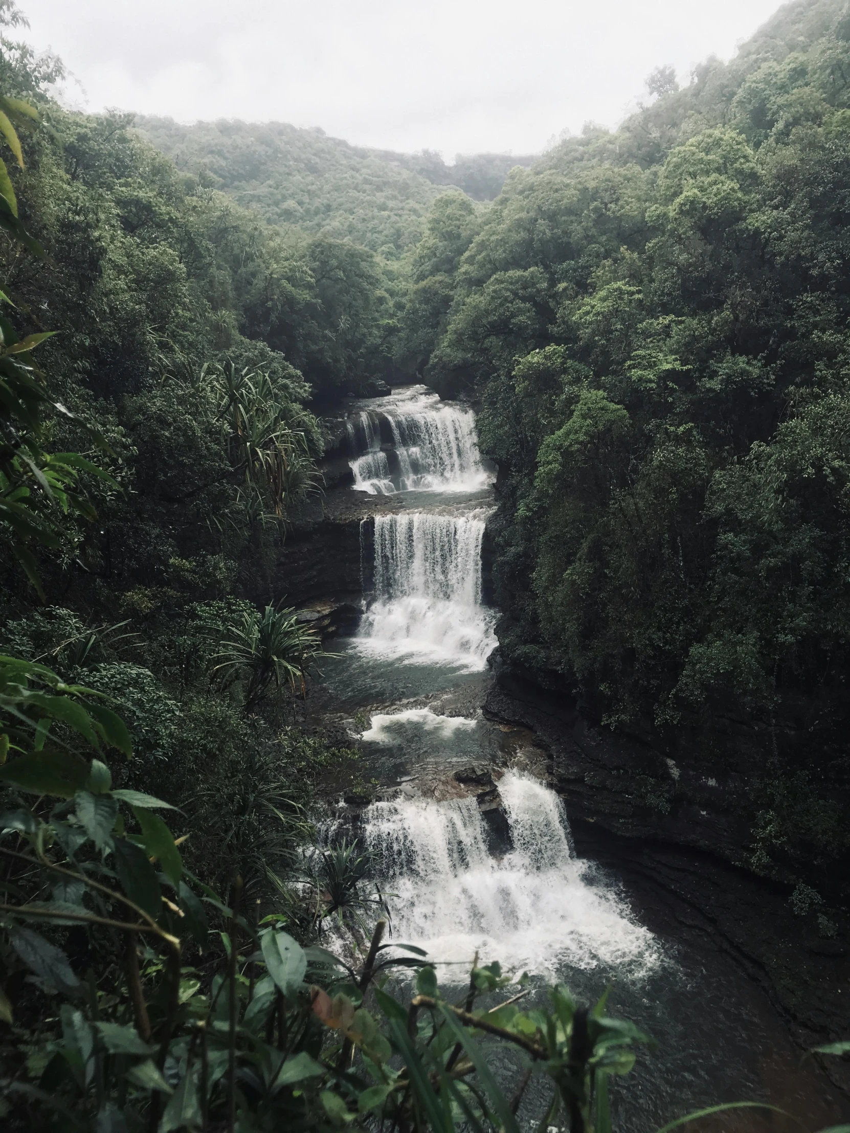 a waterfall in the middle of a lush green forest, trending on vsco, multiple stories, puerto rico, leaked image