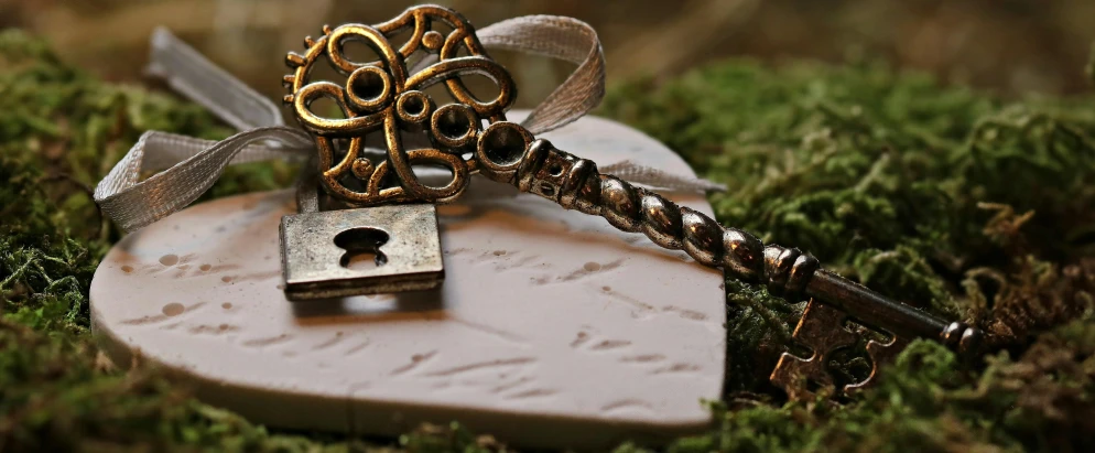 a couple of keys sitting on top of a heart, a macro photograph, inspired by Mór Than, pixabay contest winner, celtic norse frankish, bone jewelry, texture detail, secret garden