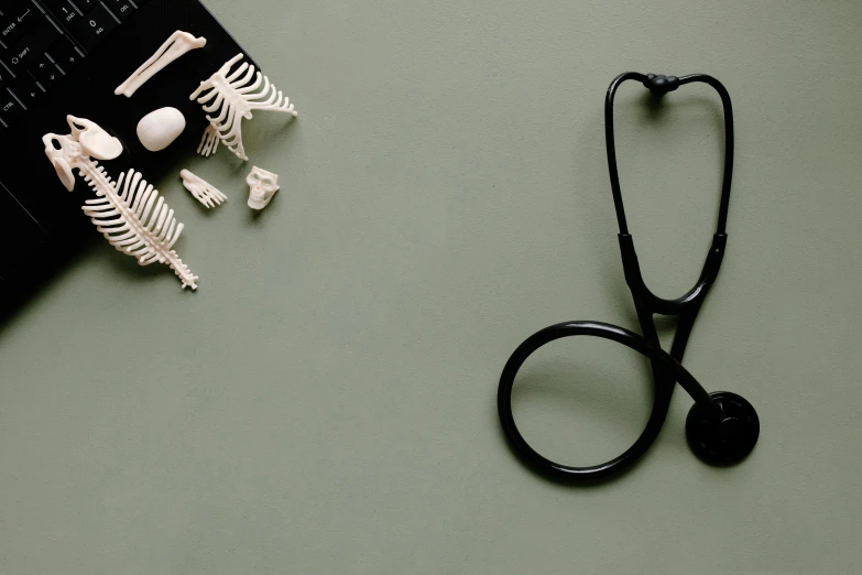 a laptop computer sitting on top of a desk next to a stethoscope, trending on pexels, massurrealism, bones lying on the ground, black, on a gray background, cute skeleton