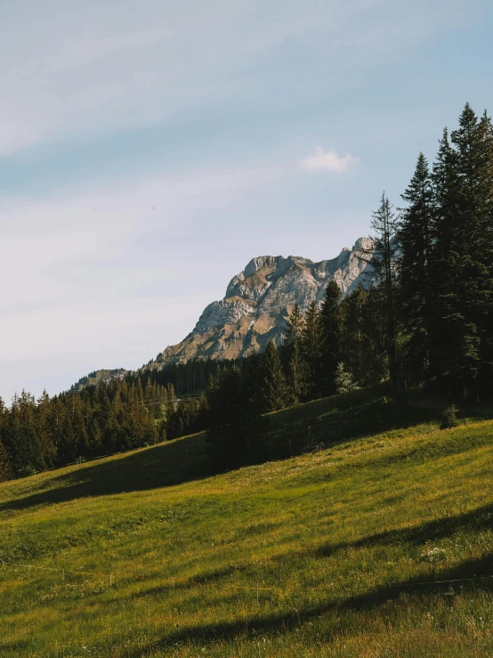 a grassy field with trees and a mountain in the background, pexels contest winner, jovana rikalo, large rocky mountain, high quality image, wide high angle view