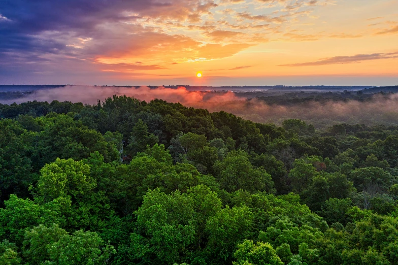 a view of the sun setting over a forest, by Andrew Domachowski, pexels contest winner, drone wide shot, bentonville arkansas, green smoggy sky, lush forest in background