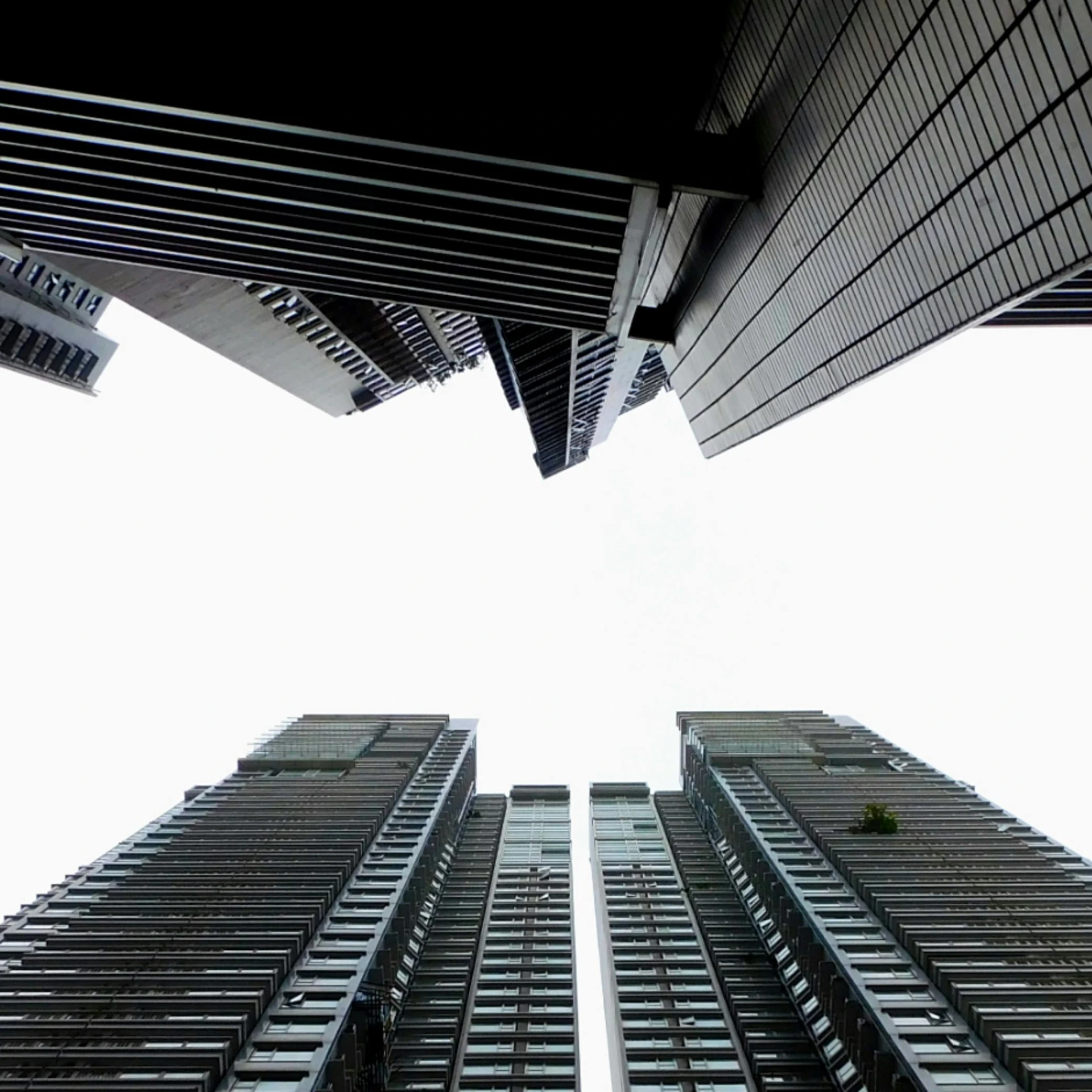 a group of tall buildings next to each other, inspired by Cheng Jiasui, unsplash, brutalism, view from bottom, grey skies, clear sky above, lim chuan shin
